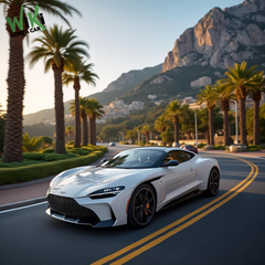 alquiler-coche-dia-1776652212035.png