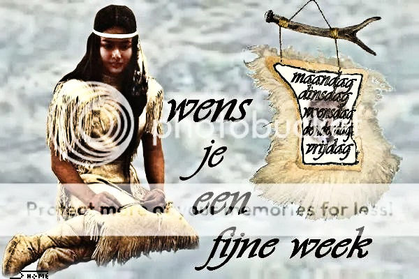 fijneweek