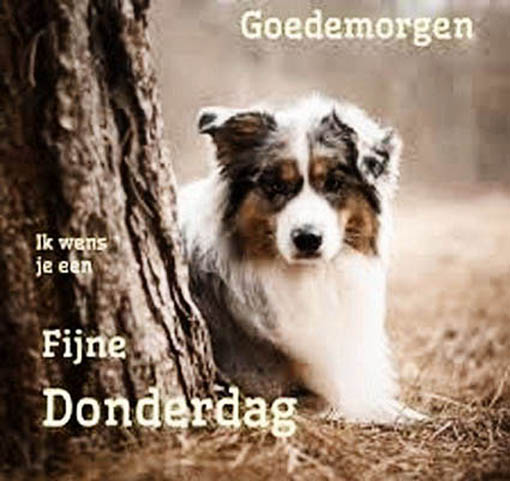 henk