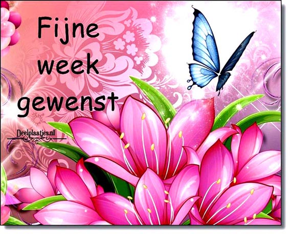 deelplaatjes-nl-start-de-week-met-een-positieve-groet-469030