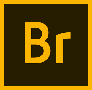Adobe Bridge Cc 2019 v9.0.1.216 Multilingual (x64)