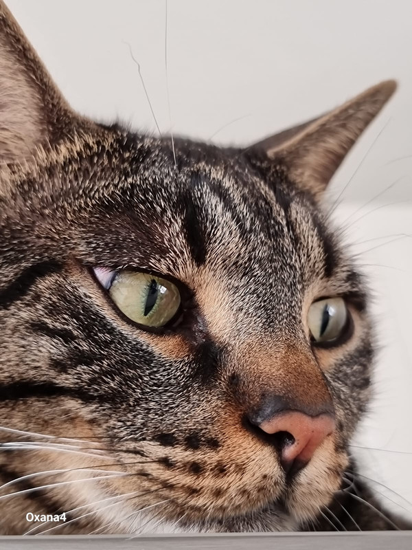,.   !