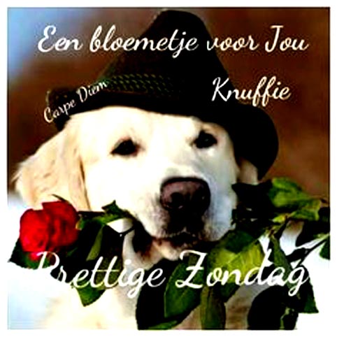 789665cb656cb716446e7b342afdeb99