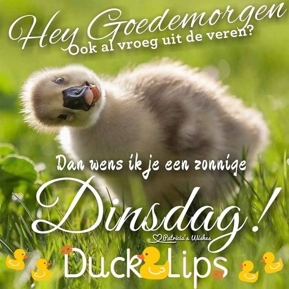 b3aabf9a36e66a45ad3de537f4eb6369