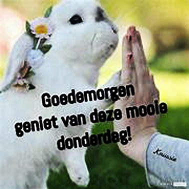 donderdag-henk
