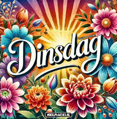 Dinsdag