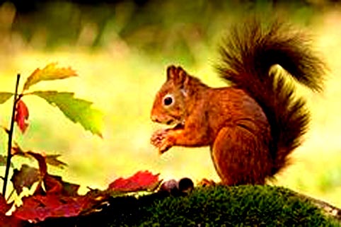 8172afcfa88fd1f4871cbbcb953f4fdf