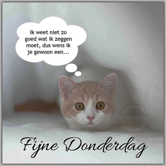 donderdag