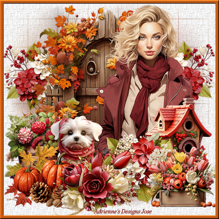 An den Beitrag angehängtes Bild: http://i.postimg.cc/L8vVQ7Hj/1-fond-blanc-autumn-colors.png