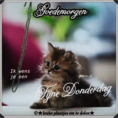 Donderdag
