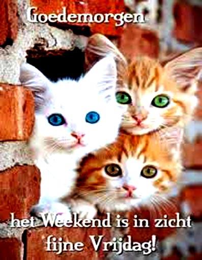weekend