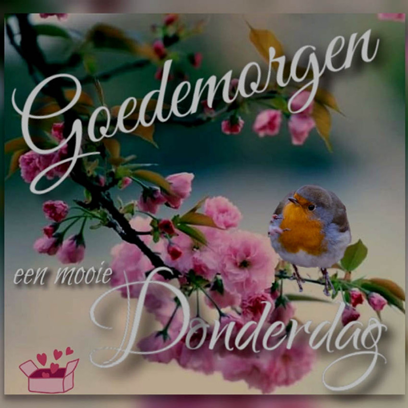 goedemorgen-donderdag-026