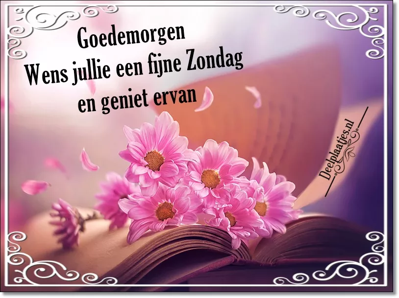deelplaatjes-nl-fijne-zondag-geniet-ervan-428577