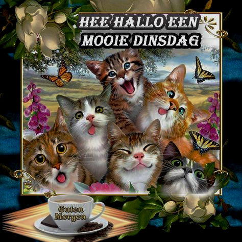 02f2779ad35bd40fdac53b59d7f63130