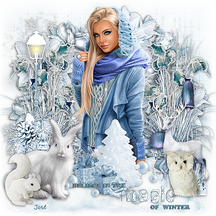 An den Beitrag angehängtes Bild: http://i.postimg.cc/NM8LkkZk/Image2-magic-of-winter.png