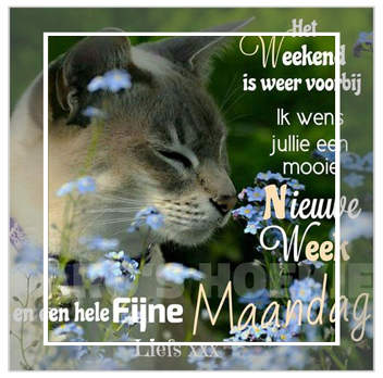 fijne-week