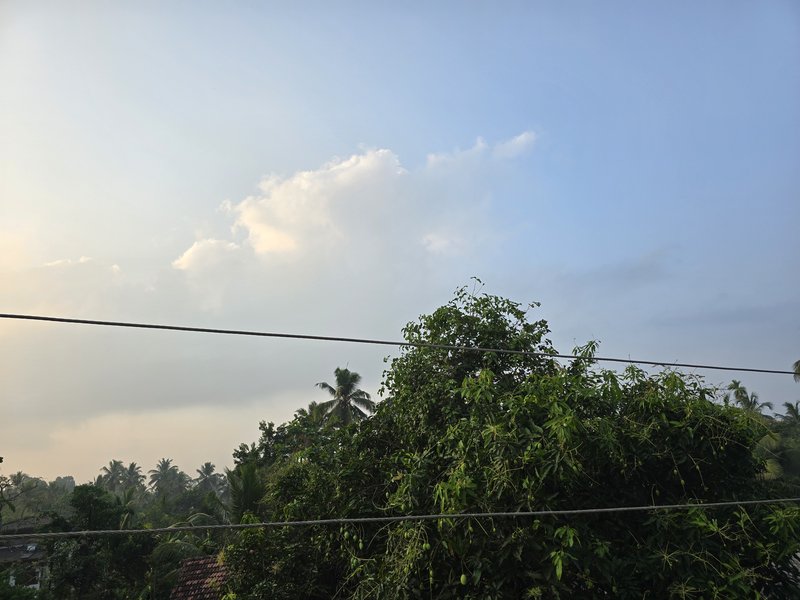 20240311-070142.jpg