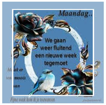 maandag