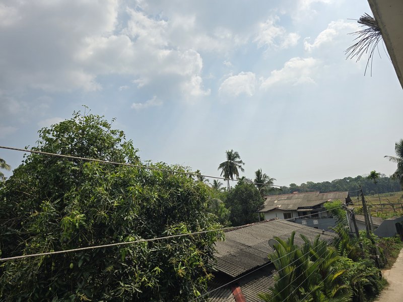20240311-143717.jpg