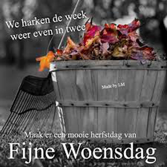 Woensdag