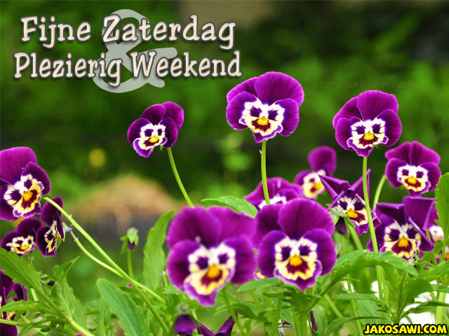 fijne-zaterdag-1501a