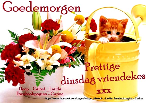 7a50e64a413e4b4f644a91a41abd09d5