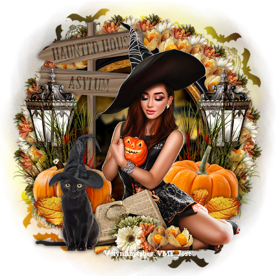 An den Beitrag angehängtes Bild: http://i.postimg.cc/QdBZ2vtx/Image1-beautiful-witch.png