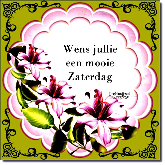 deelplaatjes-nl-mooie-zaterdag-422218