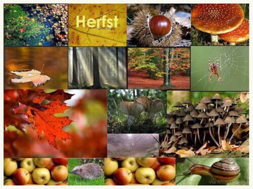 An den Beitrag angehängtes Bild: http://i.postimg.cc/RhGgZDp1/Herfst-1.jpg