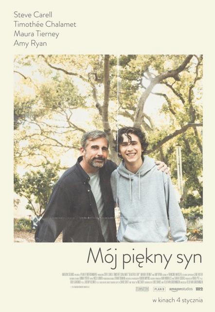 Mój Piękny Syn / Beautiful Boy (2018) PLSUBBED.480p.BRRip.XviD.AC3-LPT / POLSKIE NAPISY
