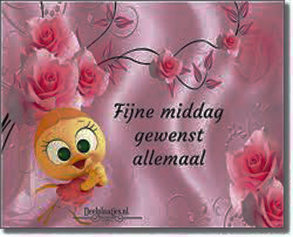 Middag