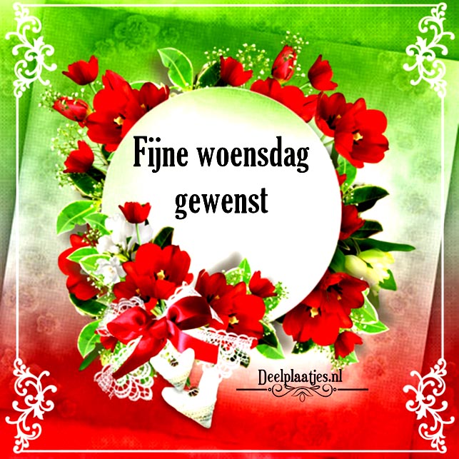 deelplaatjes-nl-alweer-woensdag-460185