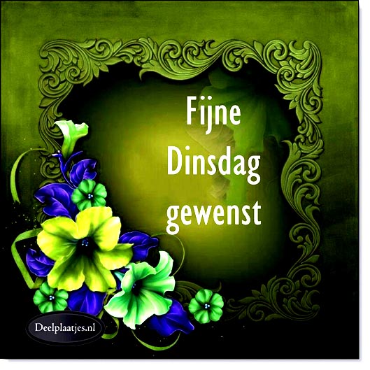 deelplaatjes-nl-fijne-dinsdags-419544