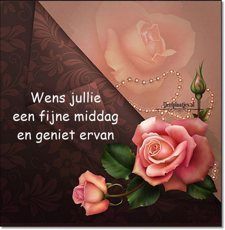 deelplaatjes-nl-anette-fijne-middag-436570