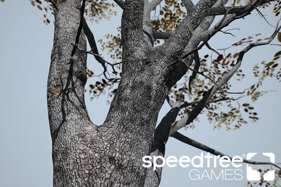 SpeedTree Games Indie v8.3.0 (x64)