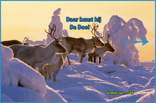 An den Beitrag angehängtes Bild: http://i.postimg.cc/T1kxZngz/500-1b9319ef-lapland-winter-reindeer-snowy-forest-arto-komulainen.gif