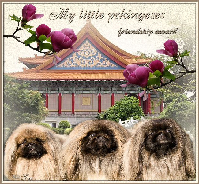 An den Beitrag angehängtes Bild: http://i.postimg.cc/TYFk1xXT/my-little-pekingeses.jpg