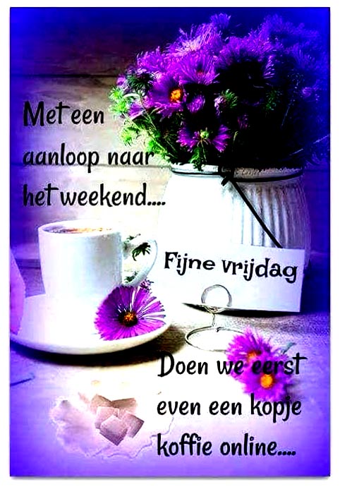 81a6ea8a17a0e7e7c759a9bb9ccd1597