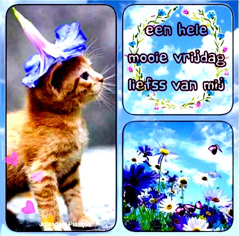 19a4a424f9c4e67573be40cb4ee7a965