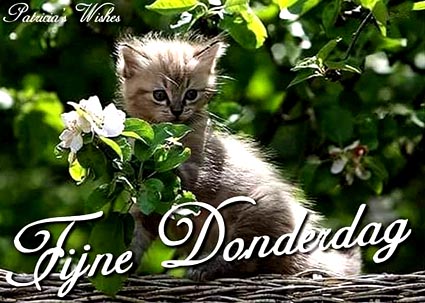 6080a9874c30715bc24a0085e27a79e4