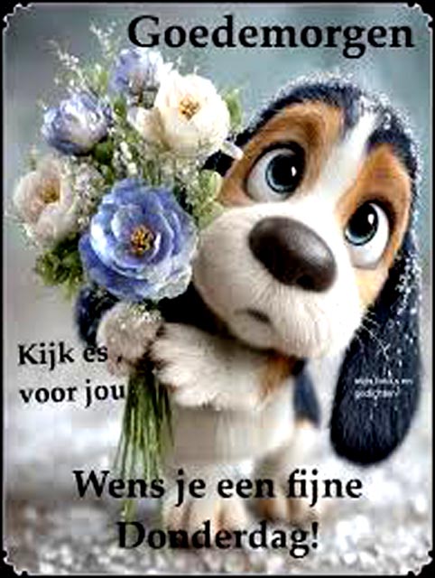 images-jpg-henk