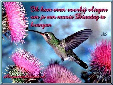 34707a826bc5dcdaef66ffd4f1acdfc3