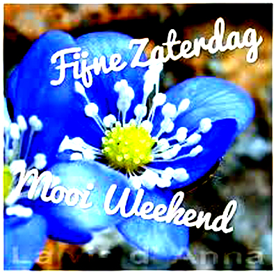 Zaterdag