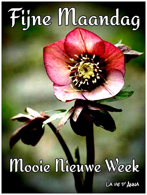 fijne-maandag-nieuwe-week-027