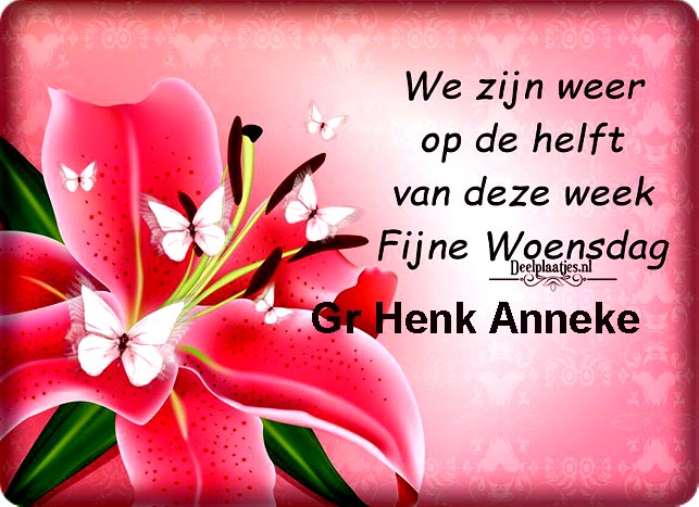 deelplaatjes-nl-weer-op-de-helft-432370kopie