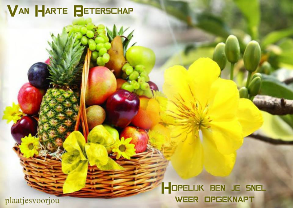 13599945-1617453918569369-5393114624260919221-n