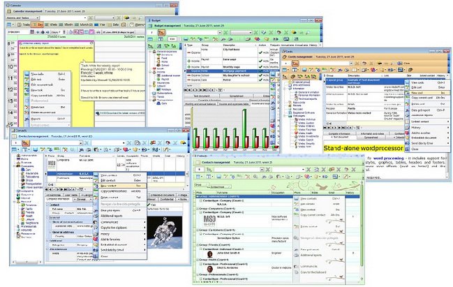 MSD Organizer 13.6 + Portable