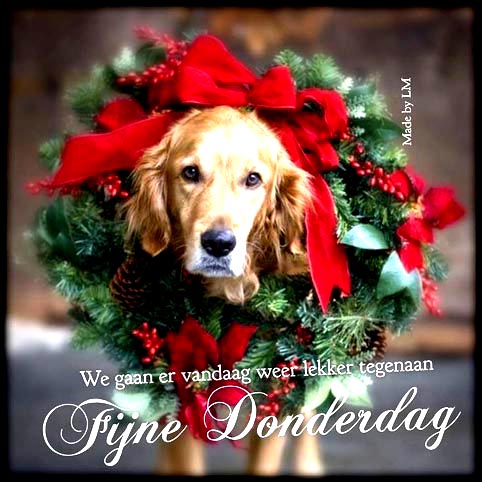 2e79b439e01c7184f1606616afb76659