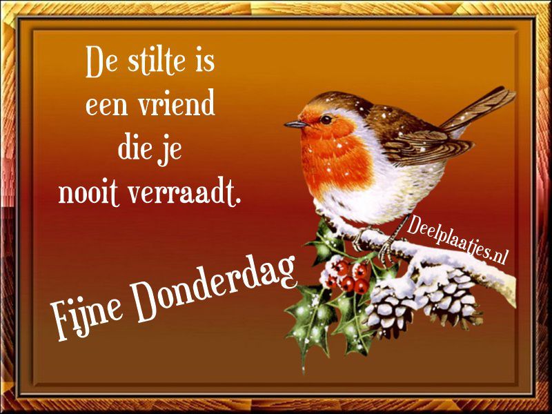 deelplaatjes-nl-anette-fijne-donderdag-475704