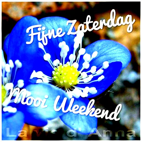 f3004ea87baccc13fc17aceff0856a4c